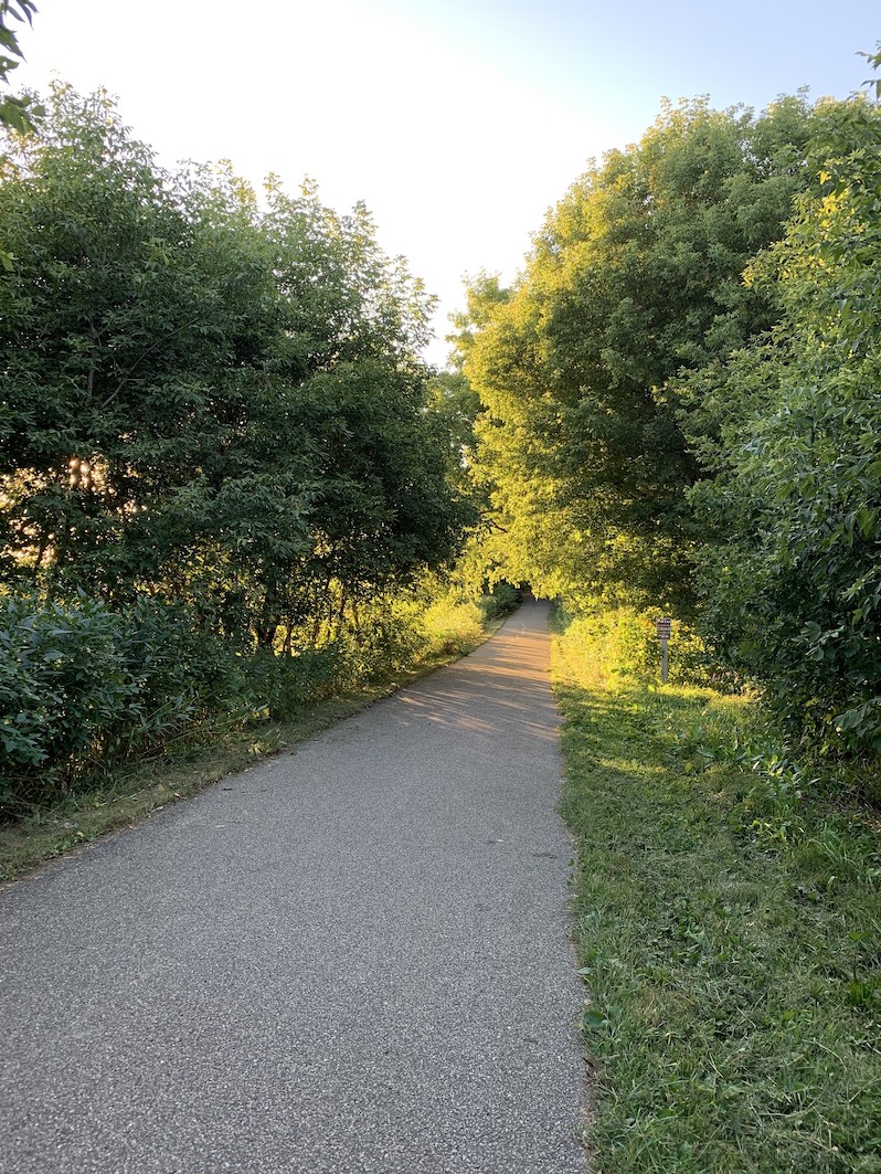 Green tunnel