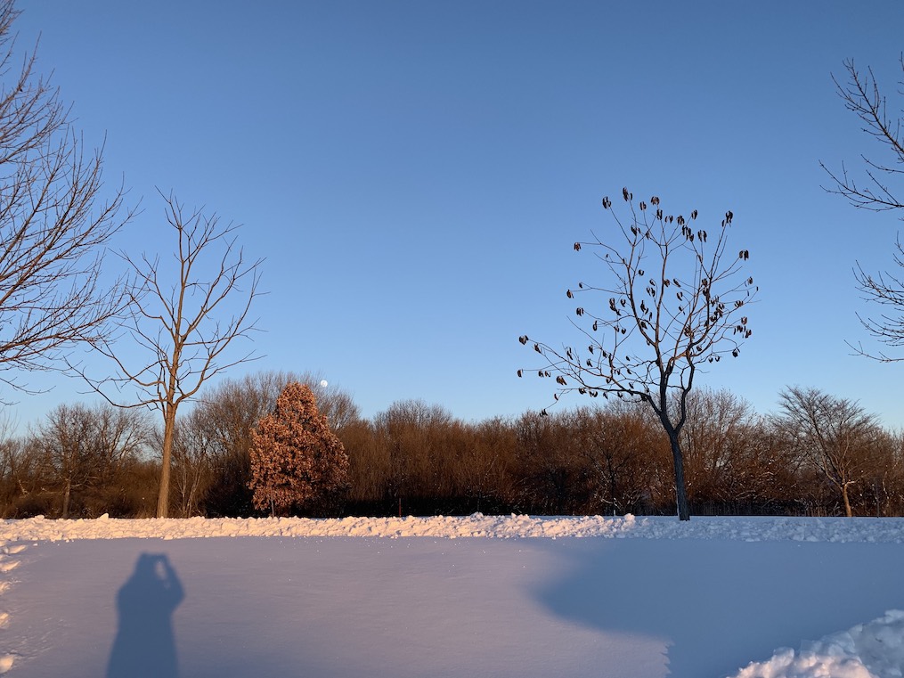 Snow, tree, and the moon