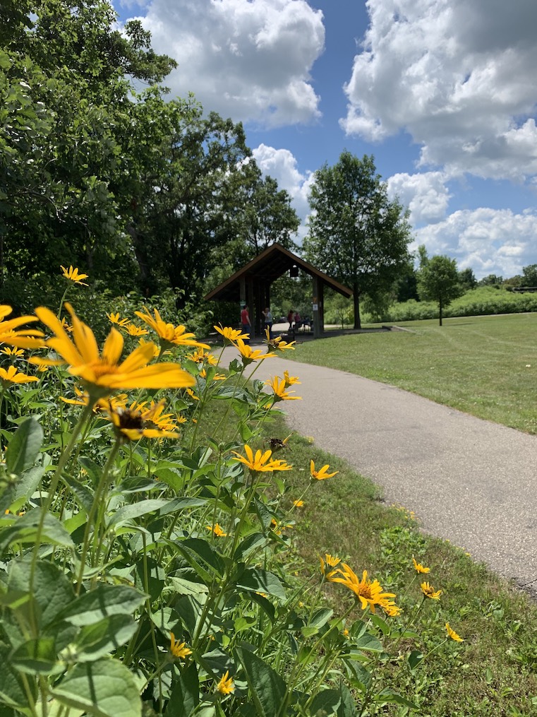 summer picnic